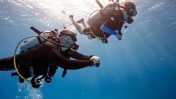 PADI Open Water Referral 